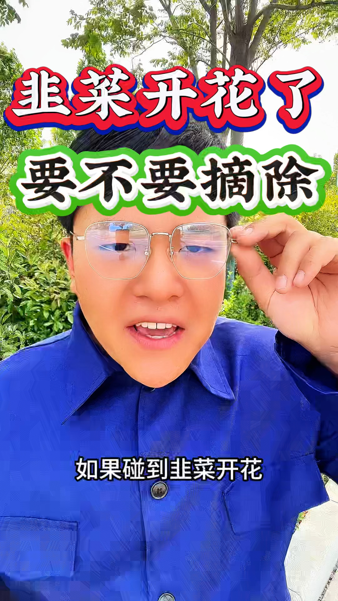 如果碰到韭菜开花，要不要摘除呢