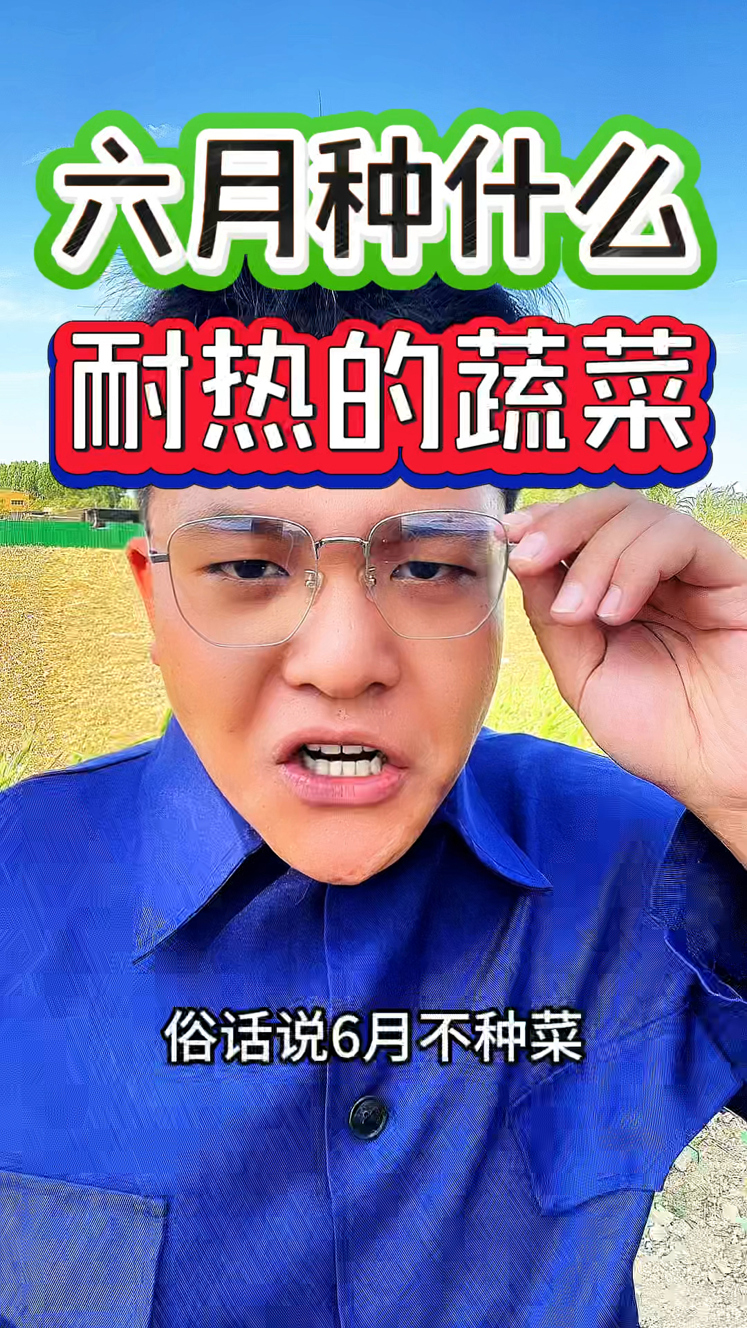 六月不种菜，七月没菜吃，六月能种什么