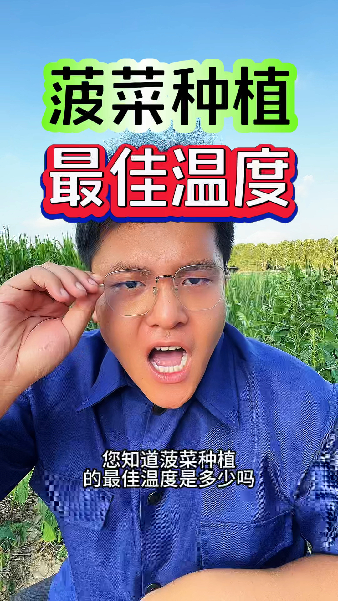 你们知道菠菜种植的温度是多少吗?