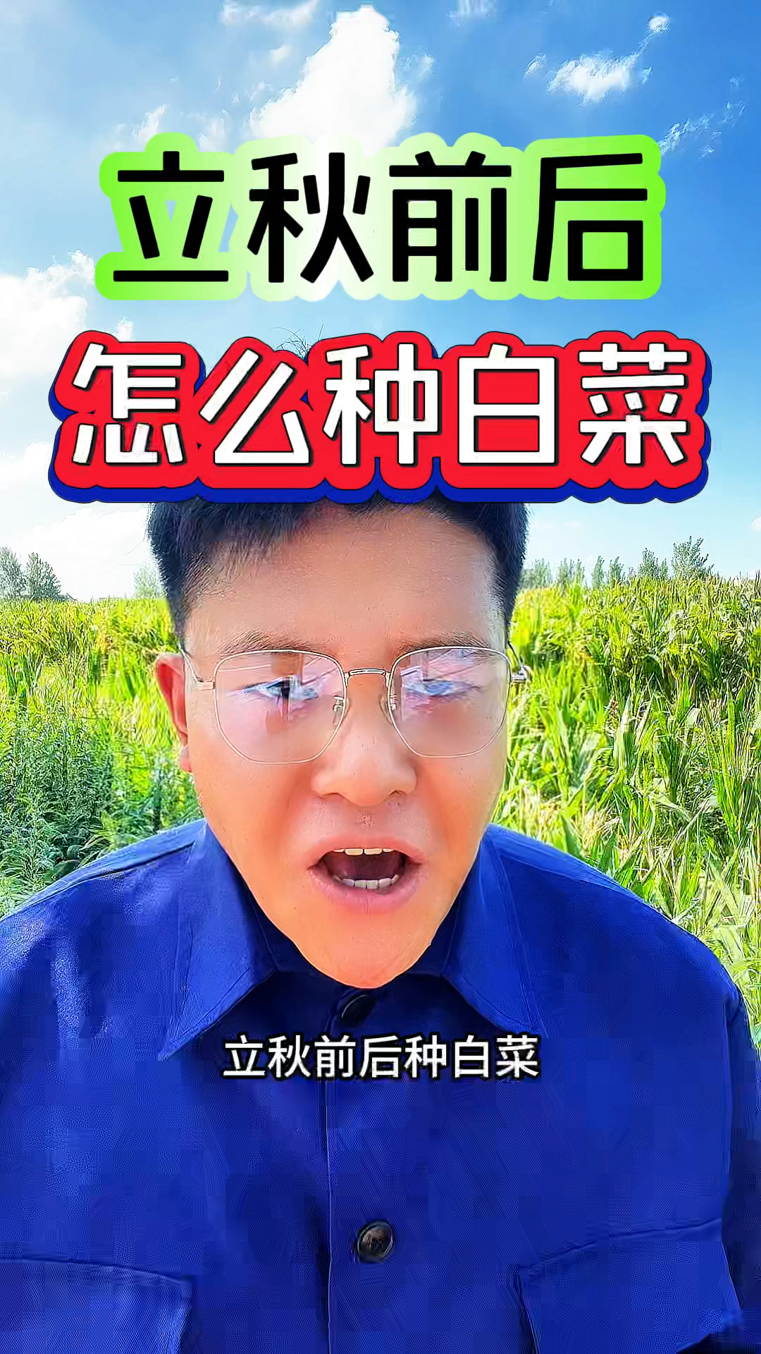 立秋前后,如何来种植白菜呢?