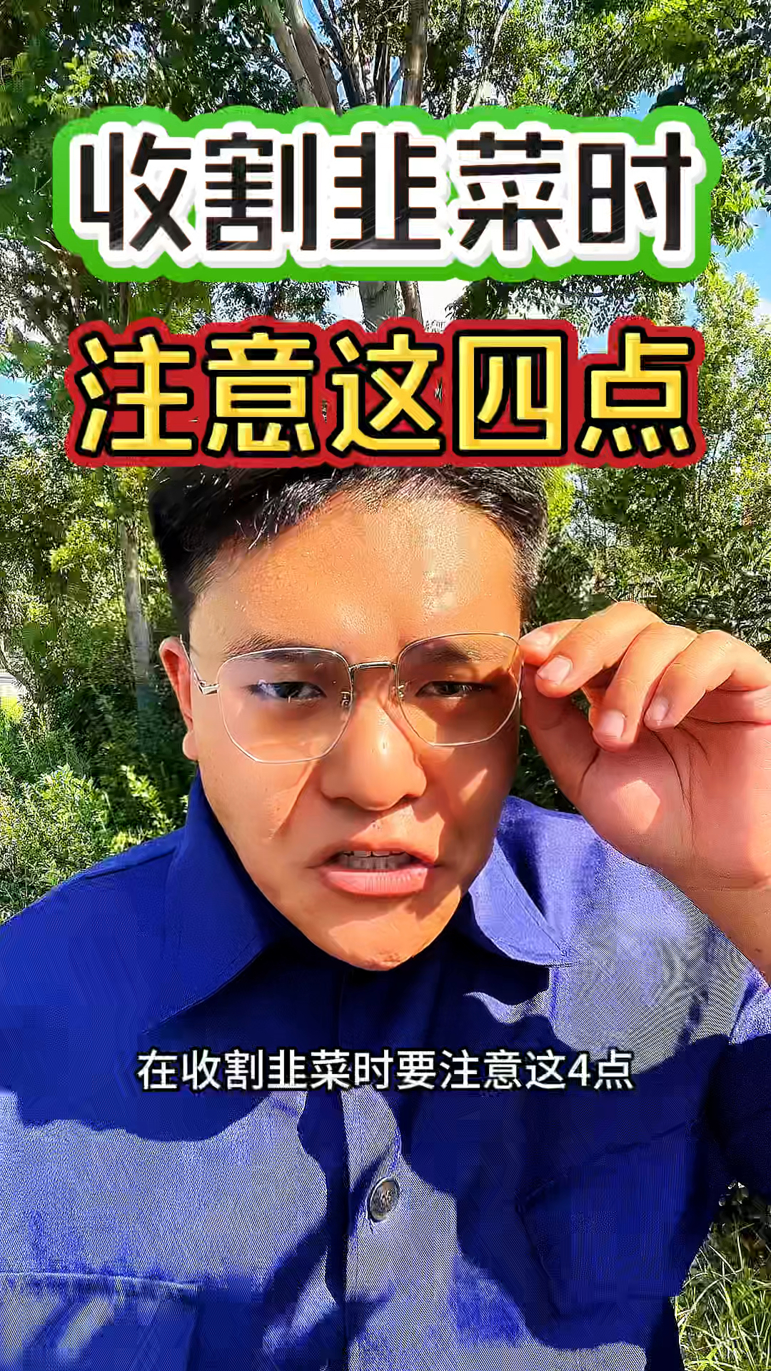 在收割韭菜时，要注意这四点