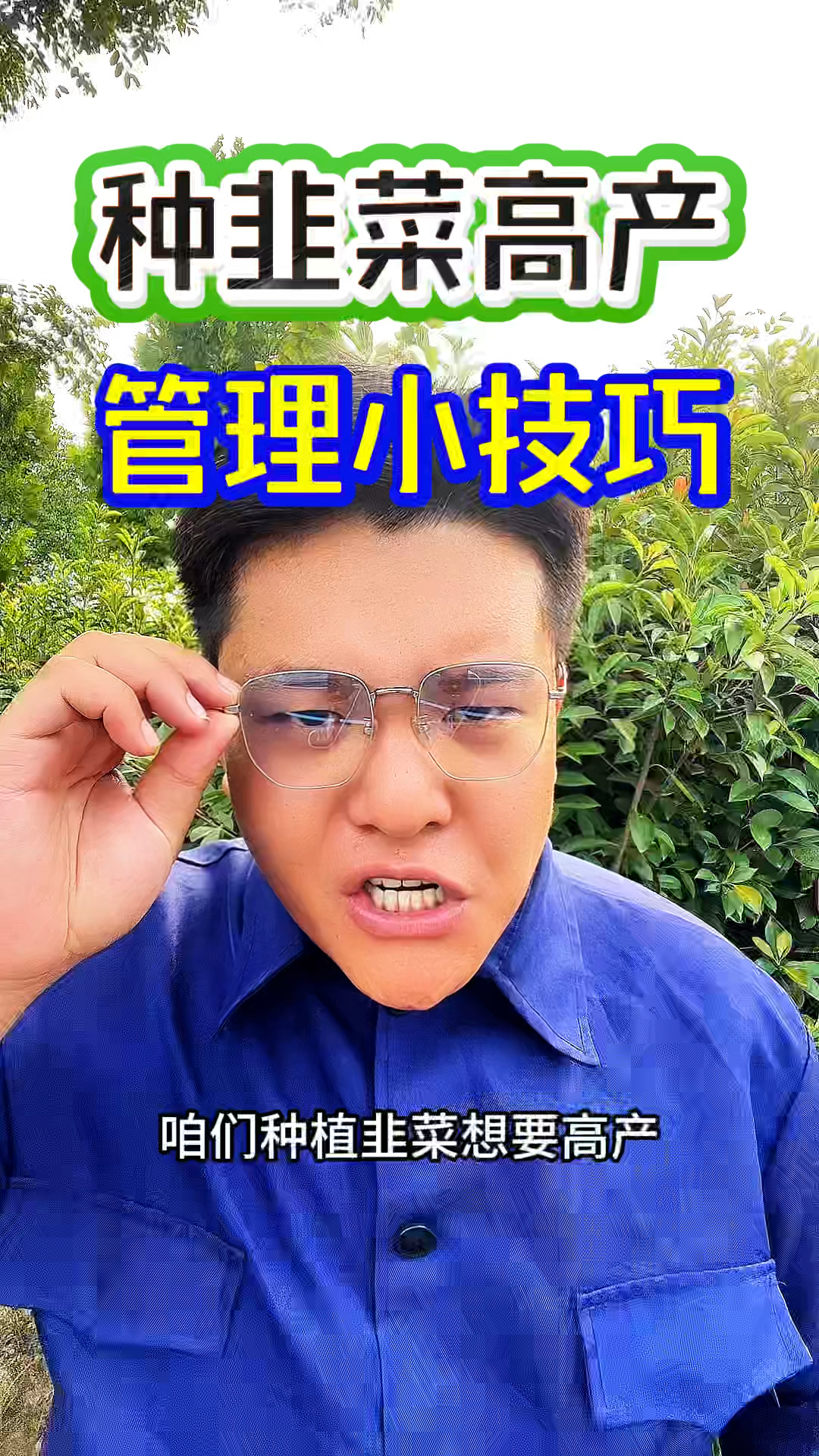 种韭菜想要高产，分享两个管理技巧