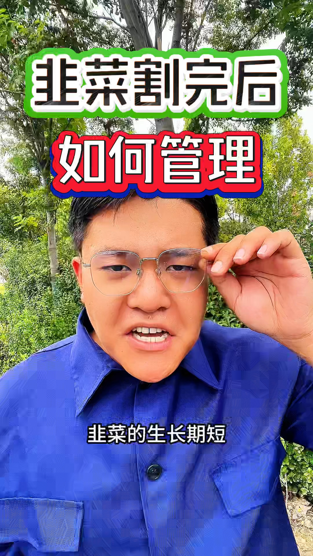 韭菜种植收割完以后，我们该如何管理