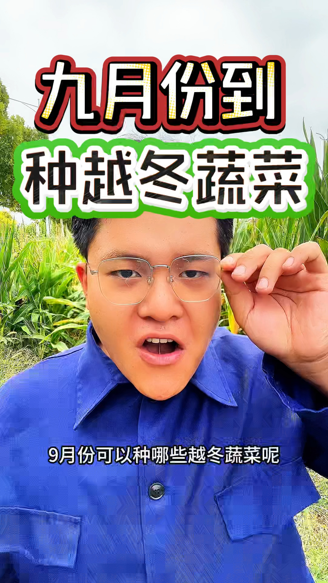 九月份可以种植哪些越冬蔬菜呢?