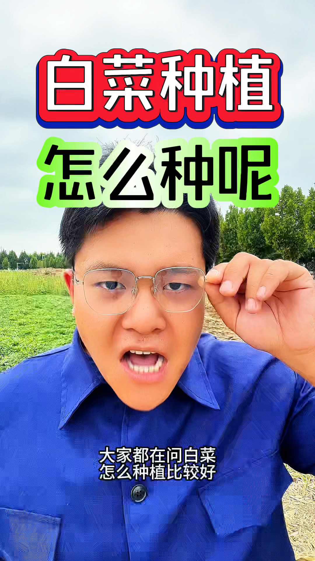大家在问,白菜怎么种长势才好