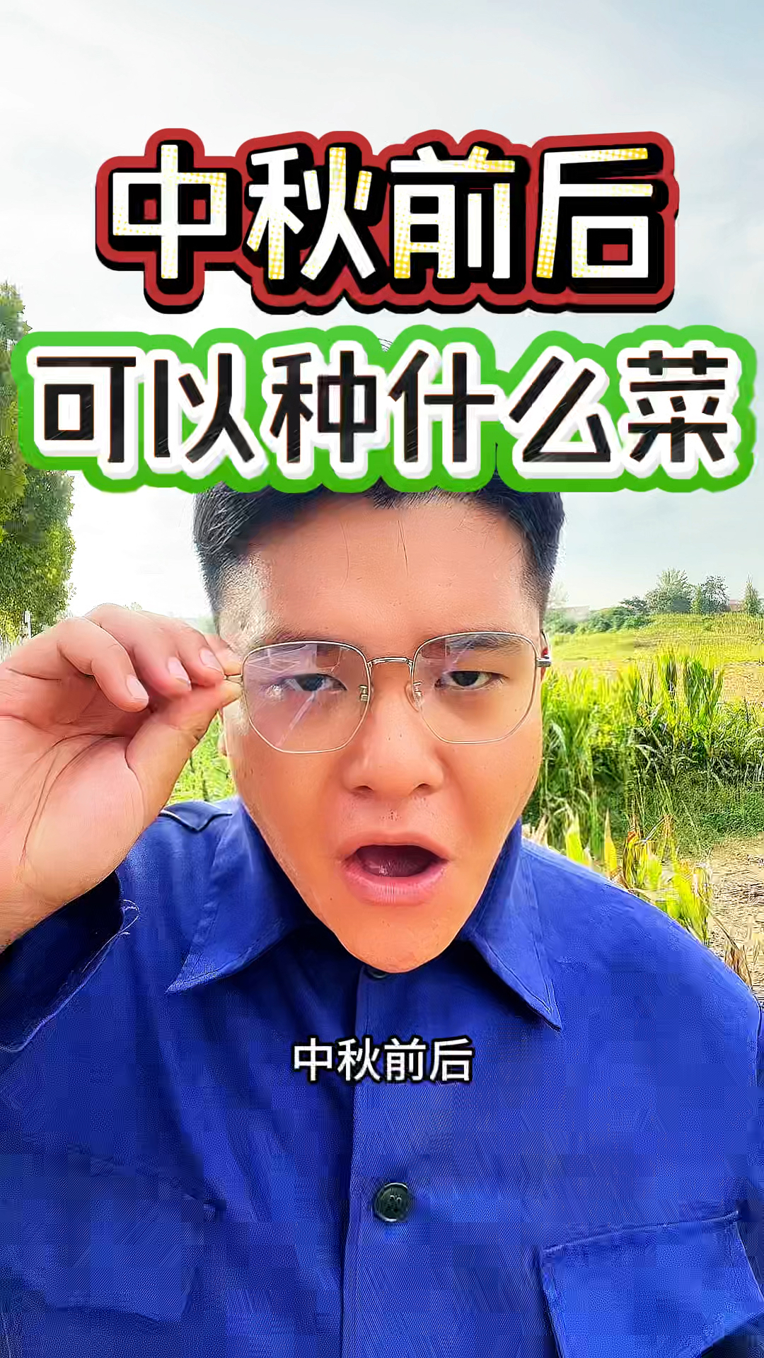 中秋前后可以种什么菜呢?