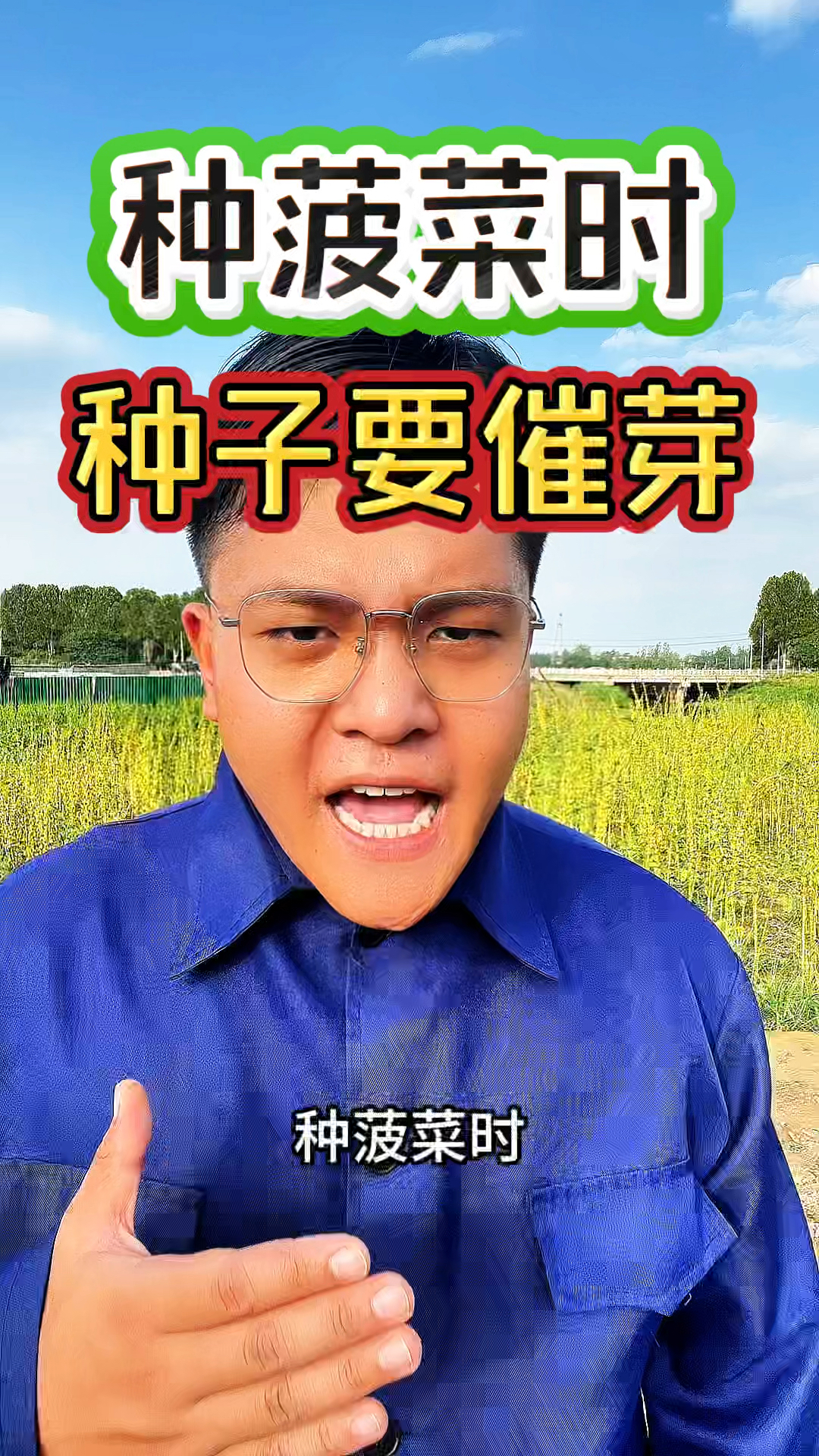 种植菠菜时,种子一定要催芽