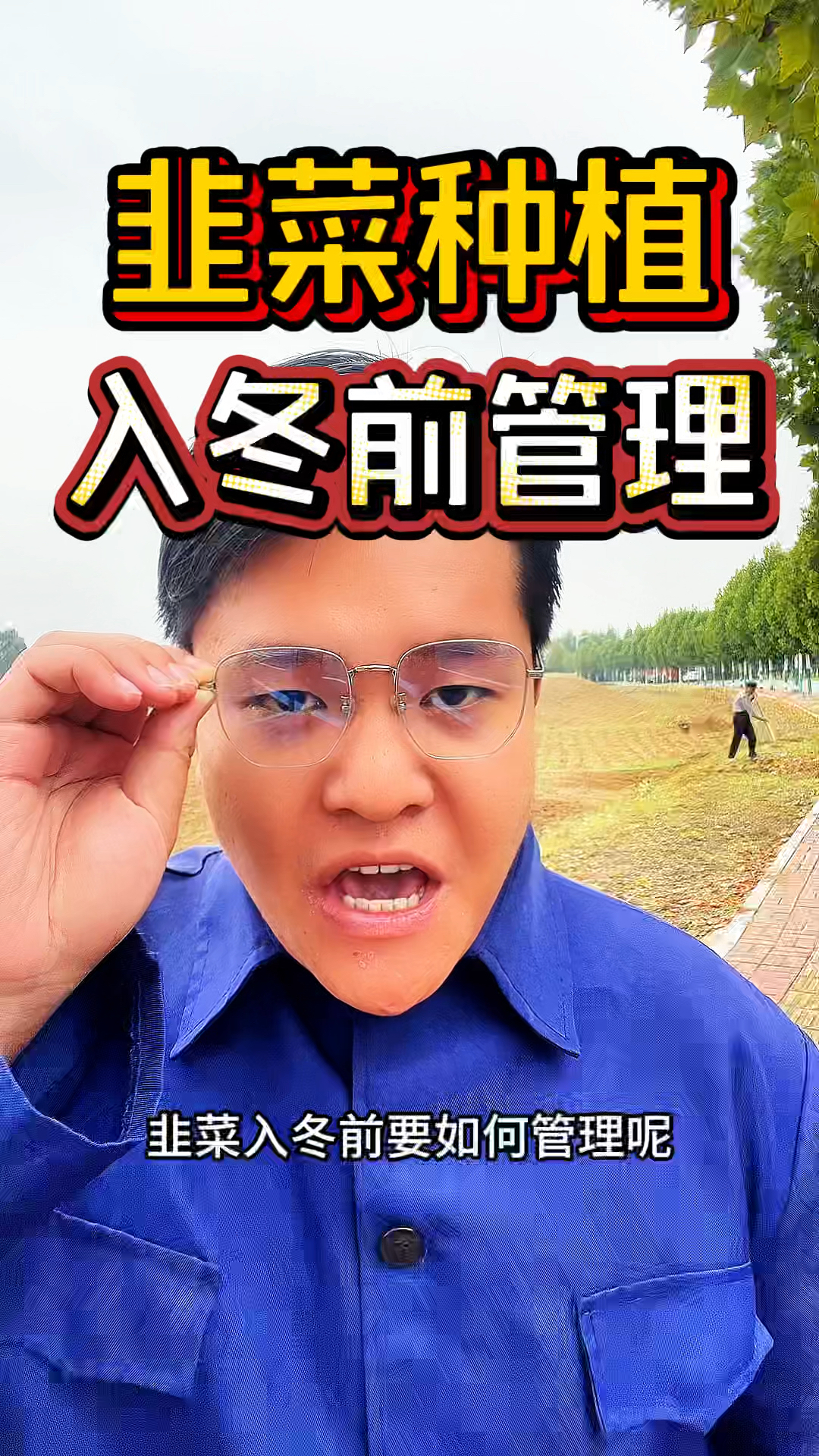 韭菜种植在入冬前，如何管理