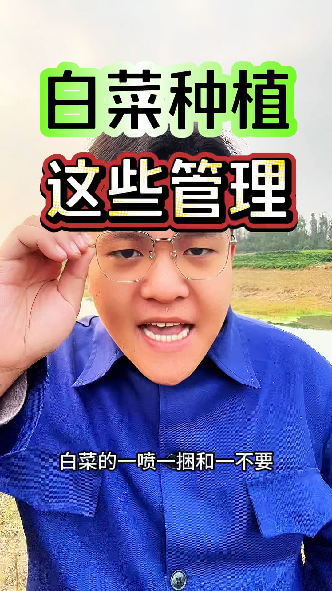 种植白菜想要长得好,这些管理要记牢