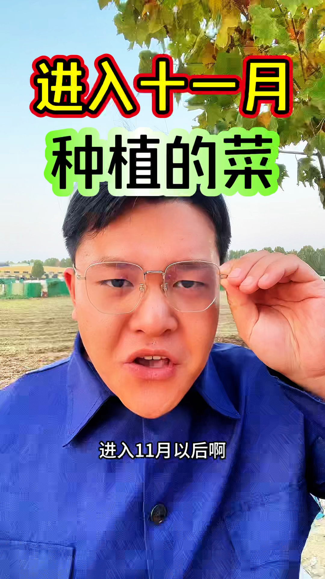 进入十一月能种植的蔬菜有哪些？