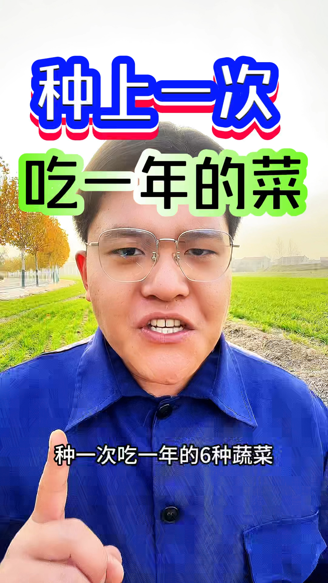 你们知道种一次，能吃一年的蔬菜有哪些呢？