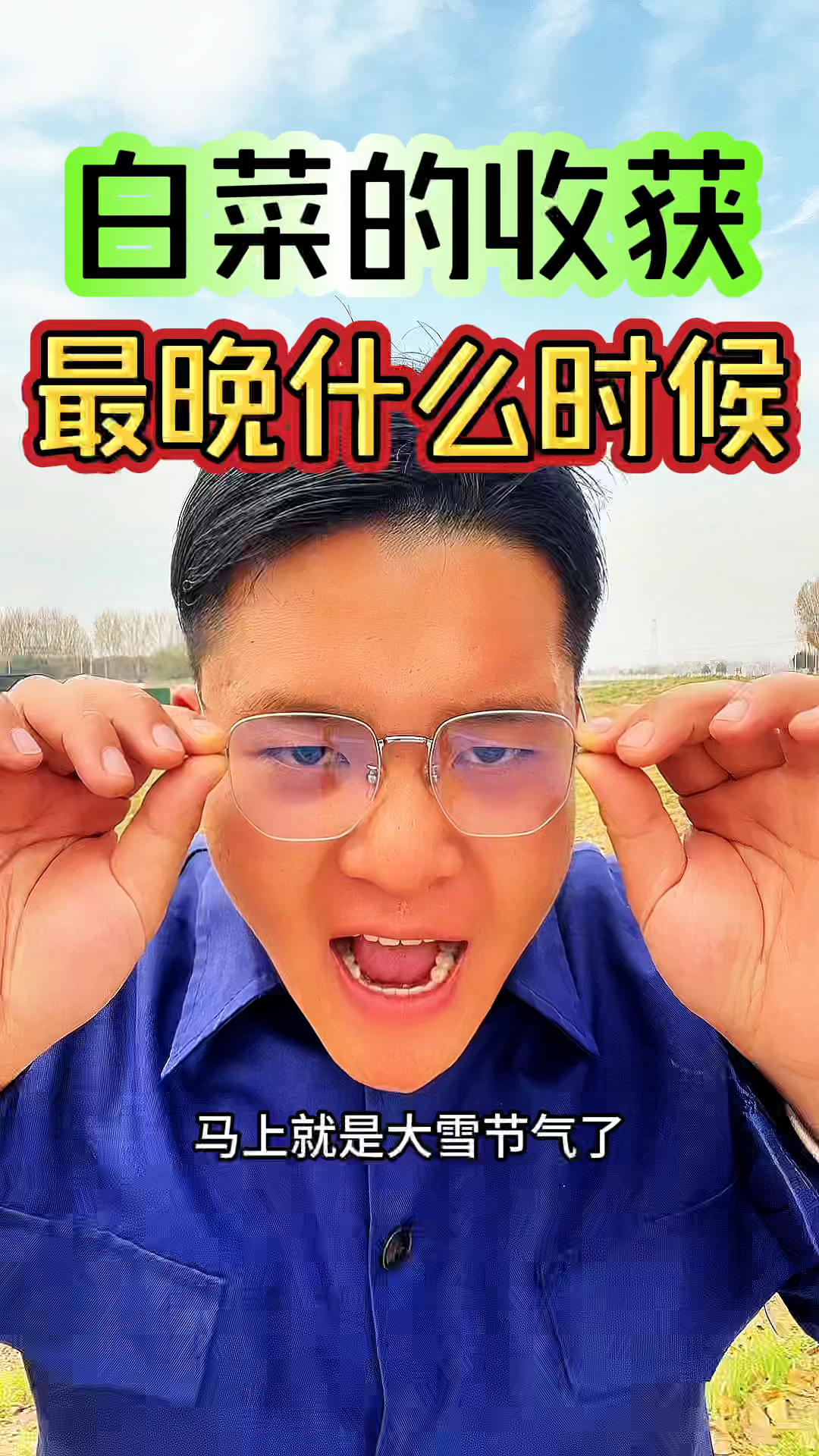 白菜收获最晚在什么时候呢?