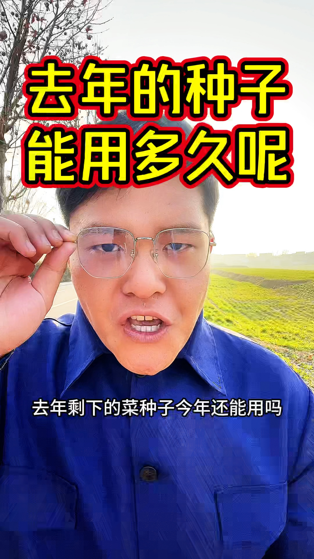 去年剩的种子,今年还能用吗?