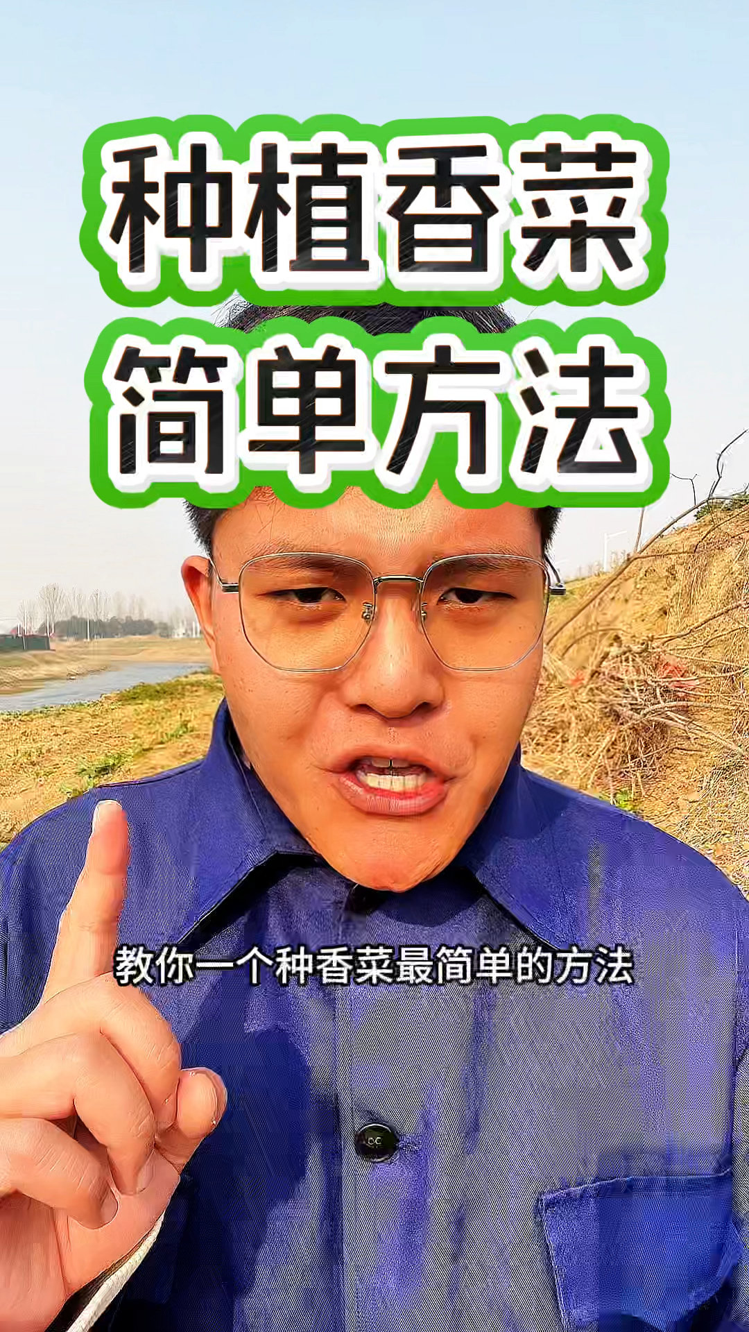 种植香菜分享一个简单方法