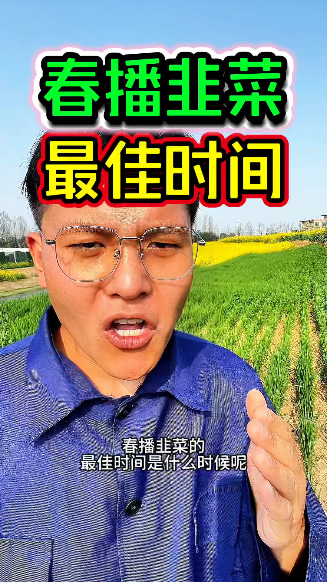春播韭菜种植的最佳时间是什么时候?