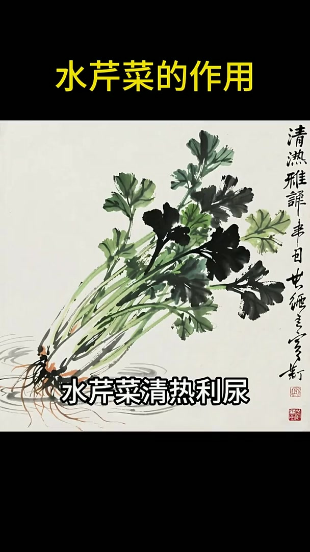 水芹菜不只是菜！这些作用藏着春日养生智慧