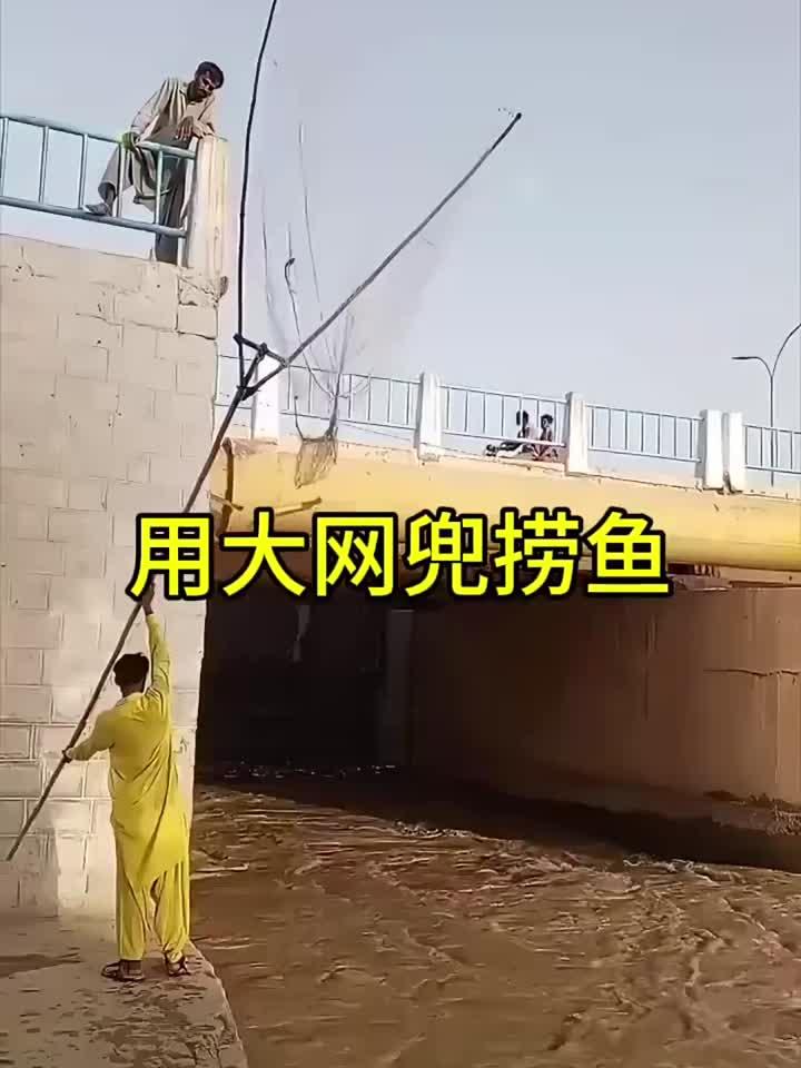 用大网兜捞鱼