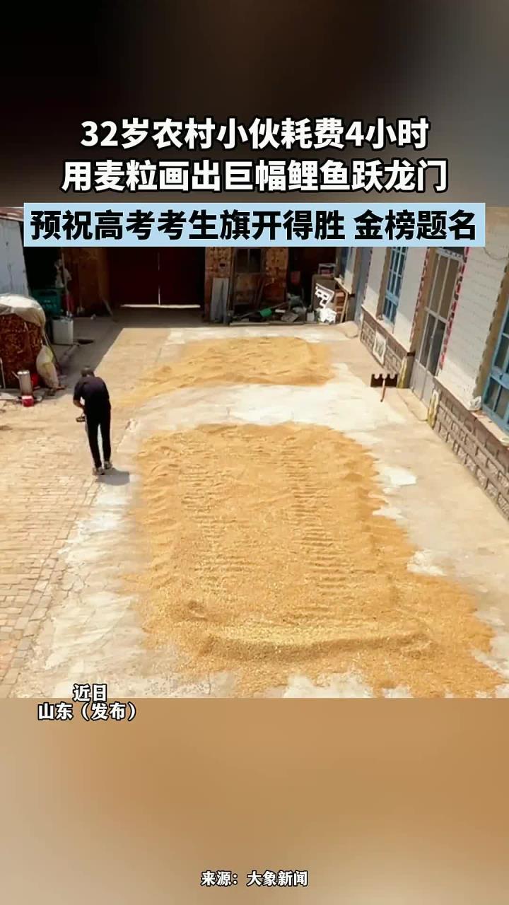 32岁小伙耗费4小时,用麦粒画出巨幅鲤鱼跃龙门,祝考生金榜题名