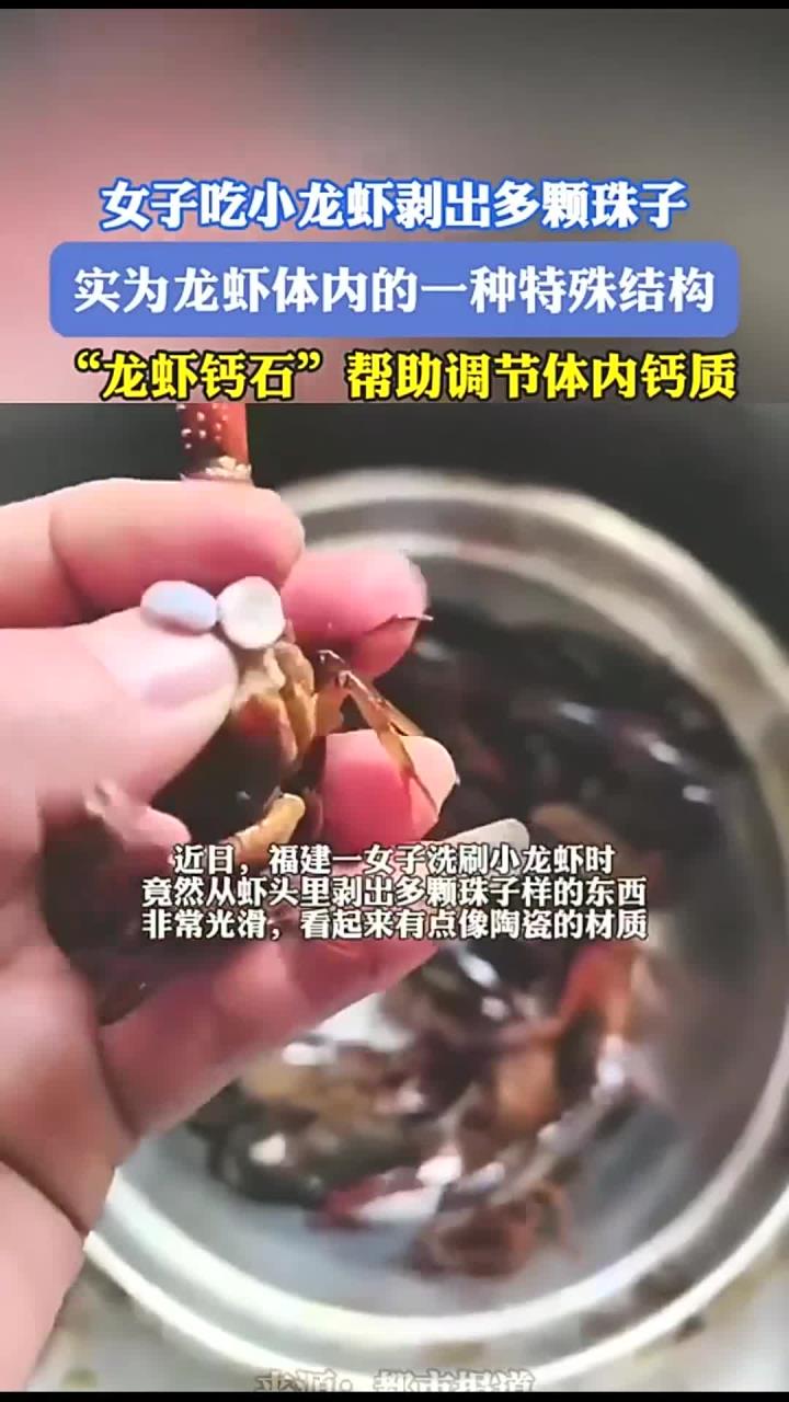 女子吃小龙虾剥出多颗珠子,实为龙虾体内的一种特殊结构,“龙虾钙石”帮助调节体内钙