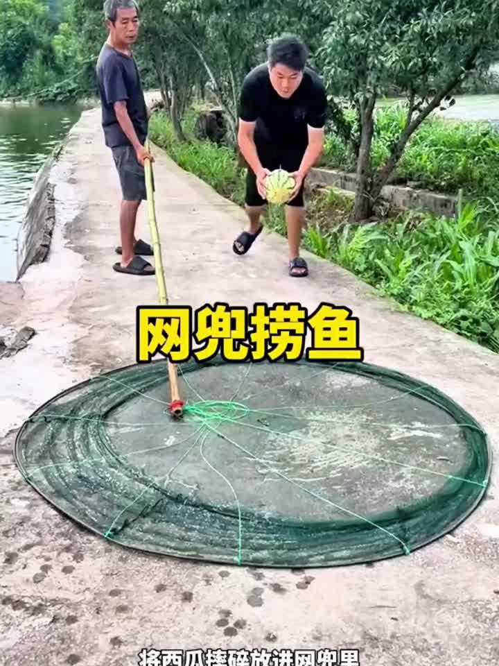 自制网兜放入西瓜捞鱼