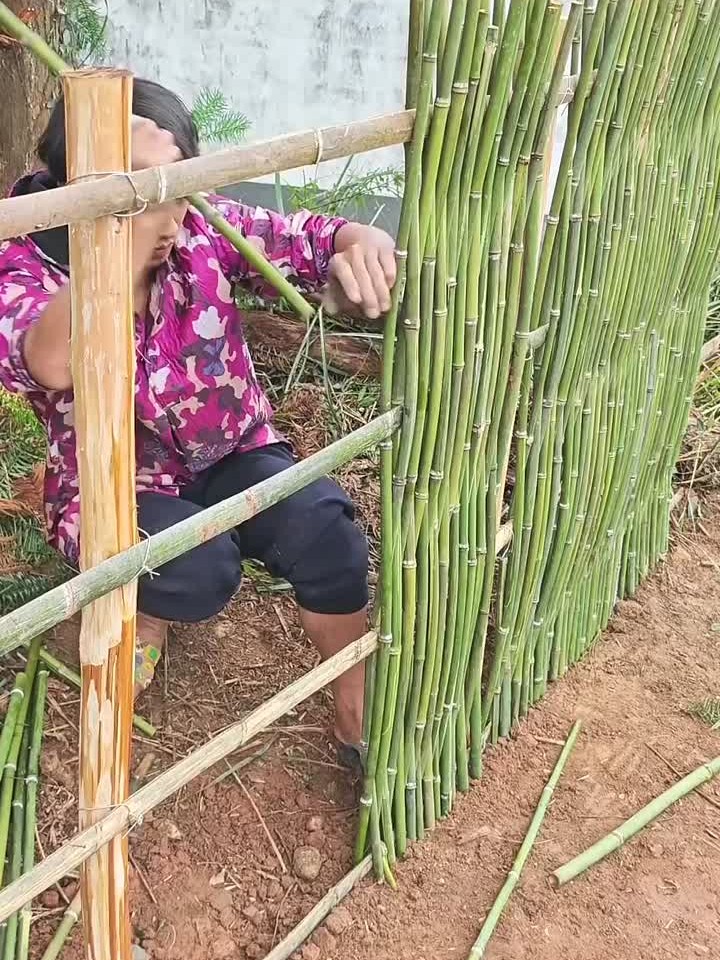 菜园围竹篱笆,编制技巧