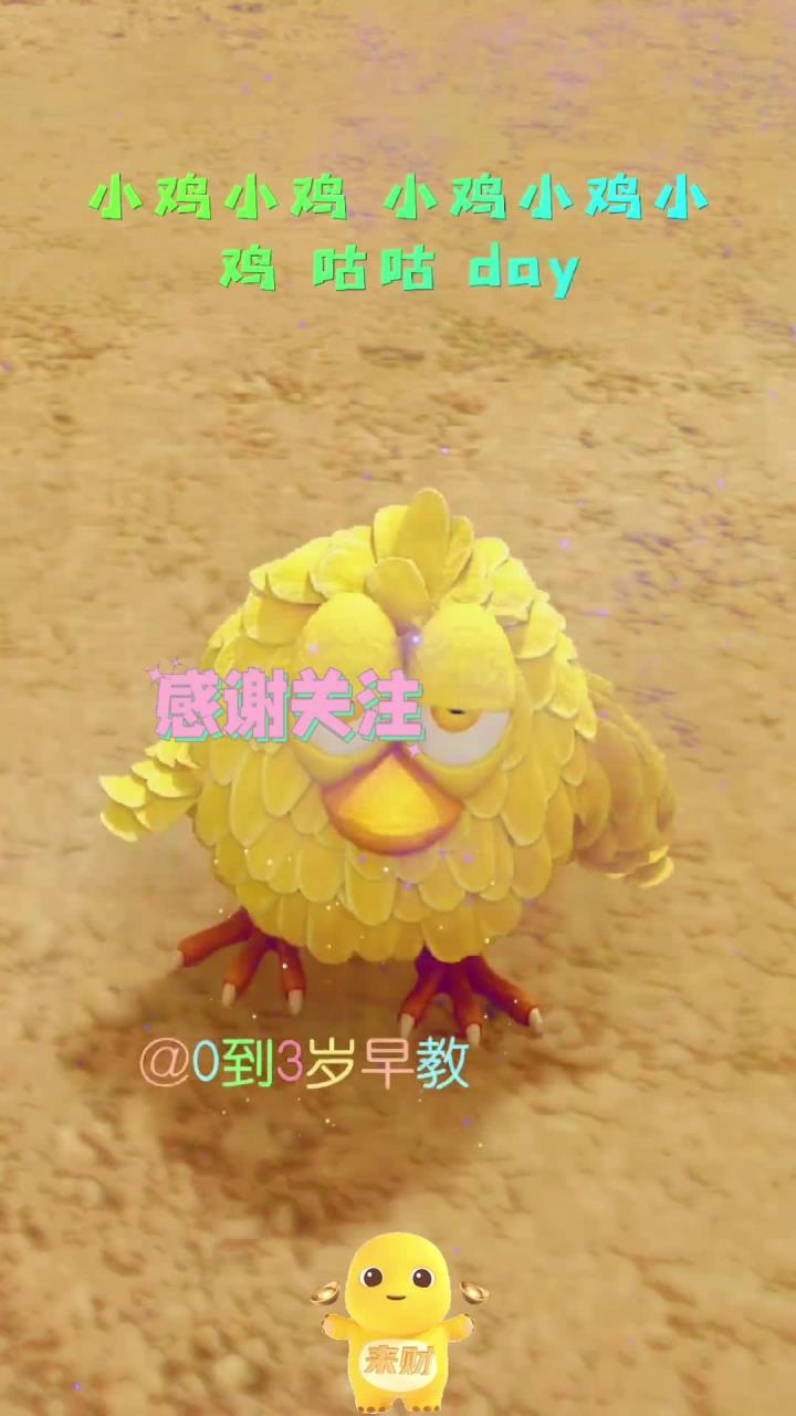 0到3岁幼儿儿歌《小鸡小鸡》小鸡小鸡咯咯咯