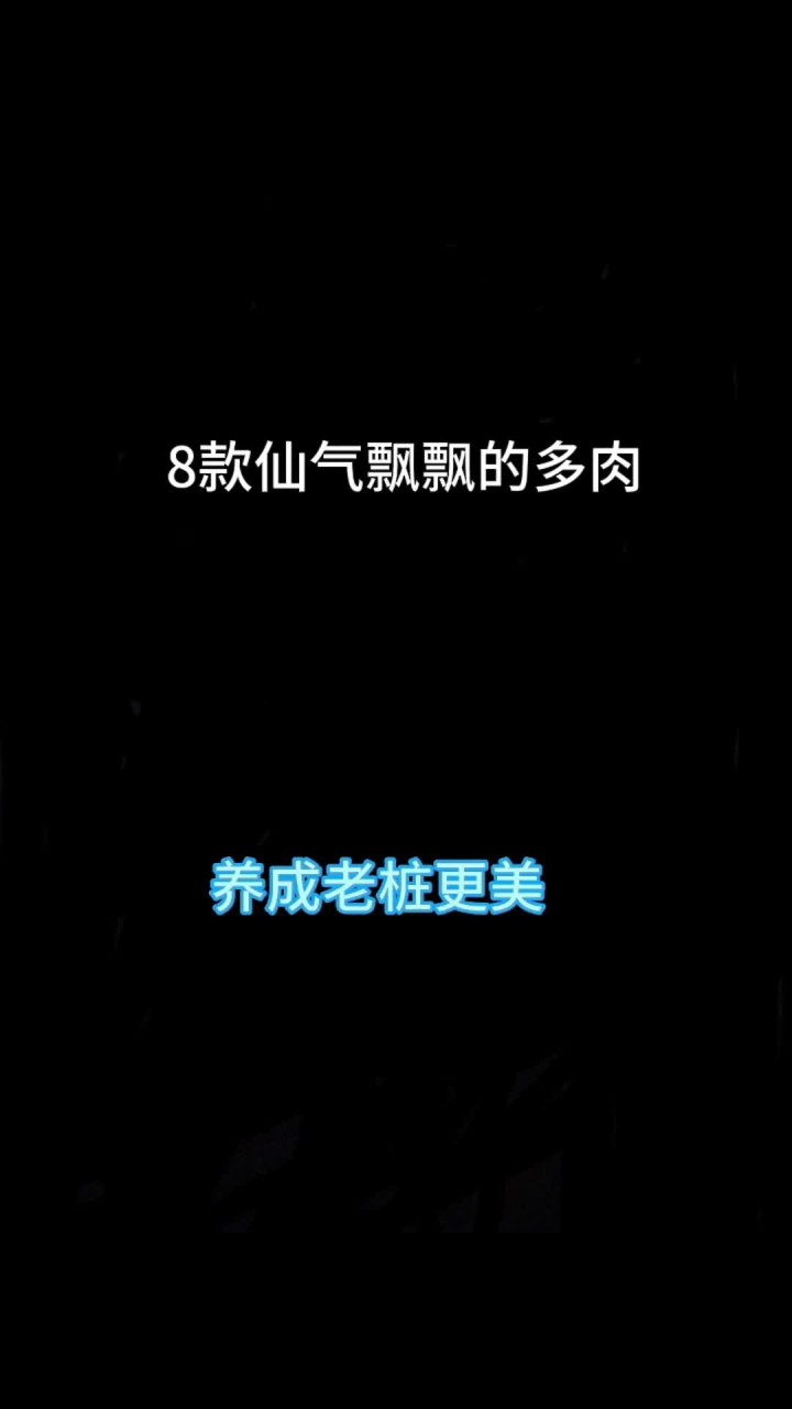 把你最仙的多肉拿出来