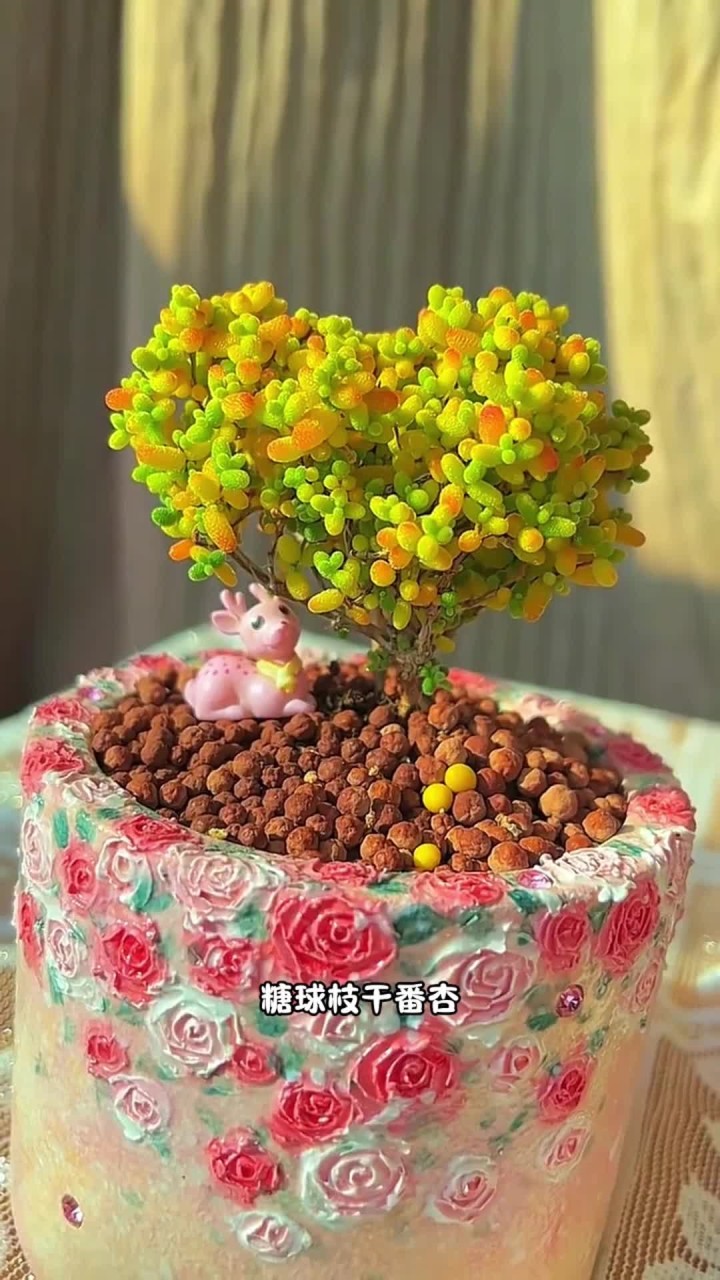 童话里走出来的多肉,你养过没有?