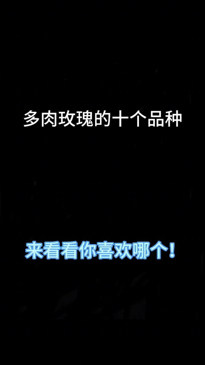 你家有没有山地玫瑰？带着品种发出来，准备多入手几个品种