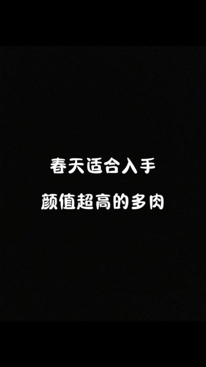 给花友们推荐一下春天适合入手的高颜值多肉