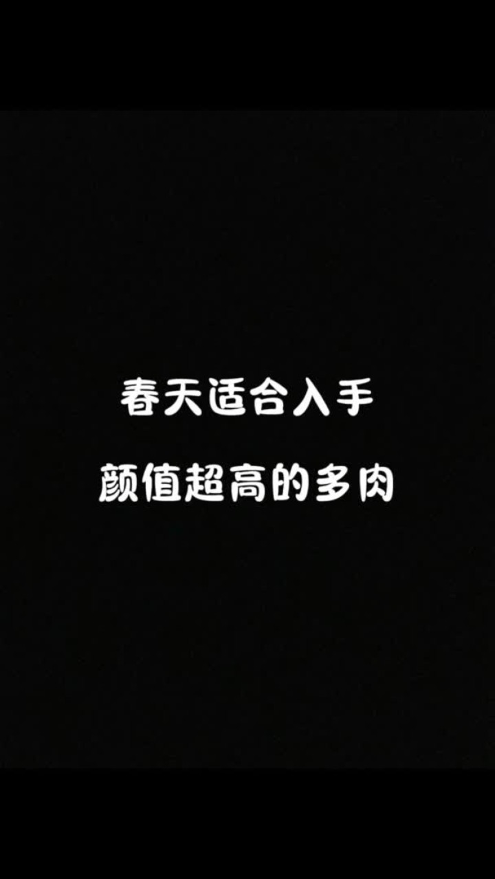 给花友们推荐一下春天适合入手的高颜值多肉