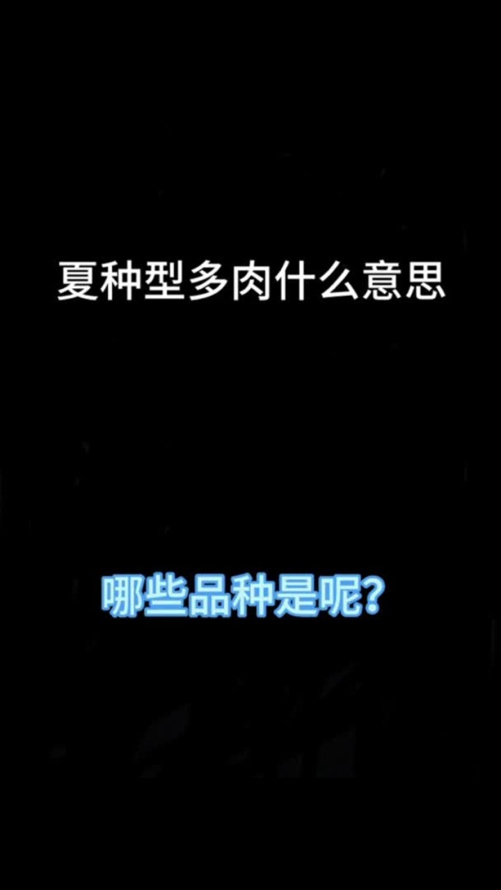 夏种型多肉你知道有哪些品种吗