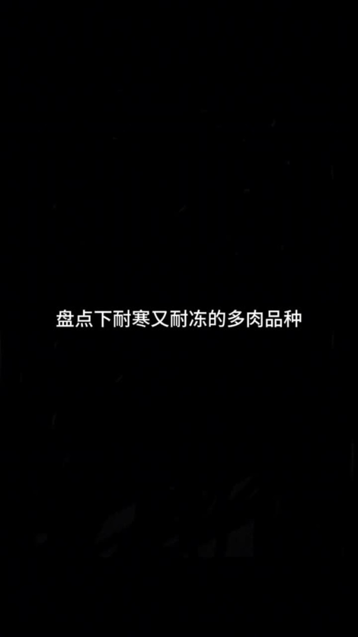 比较耐寒的多肉你还知道哪些