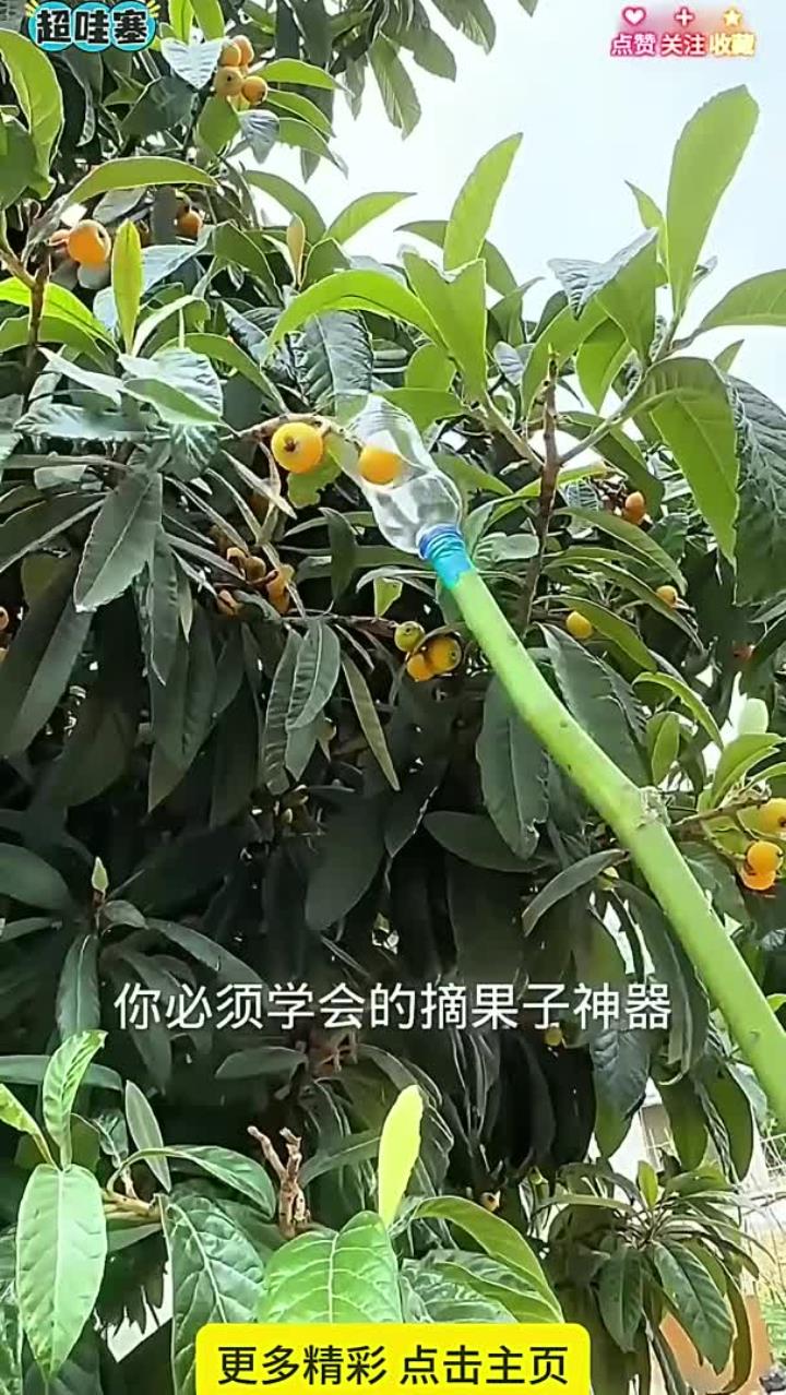 制作摘果子神器