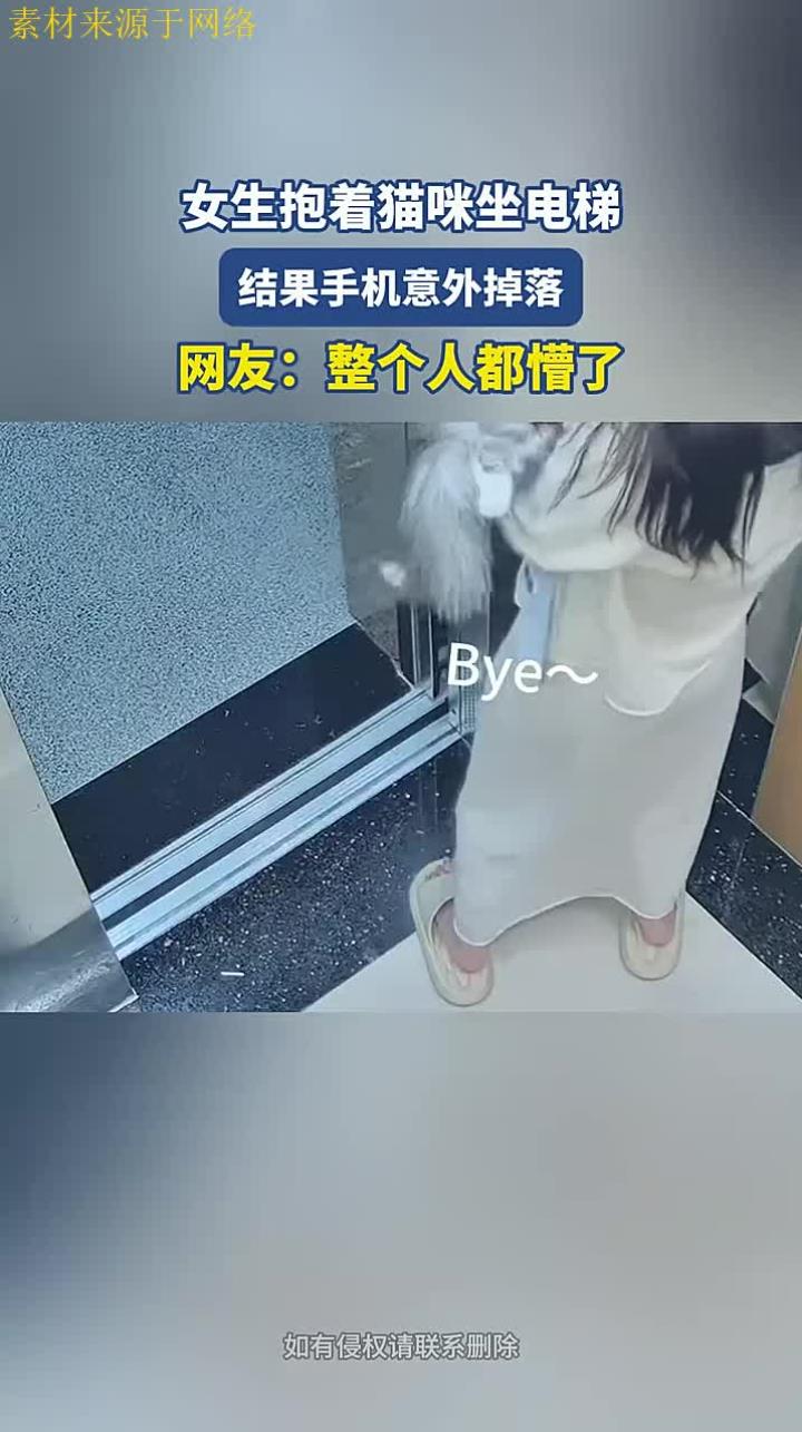 女生抱着猫咪坐电梯,结果手机意外掉落,网友:整个人都懵了