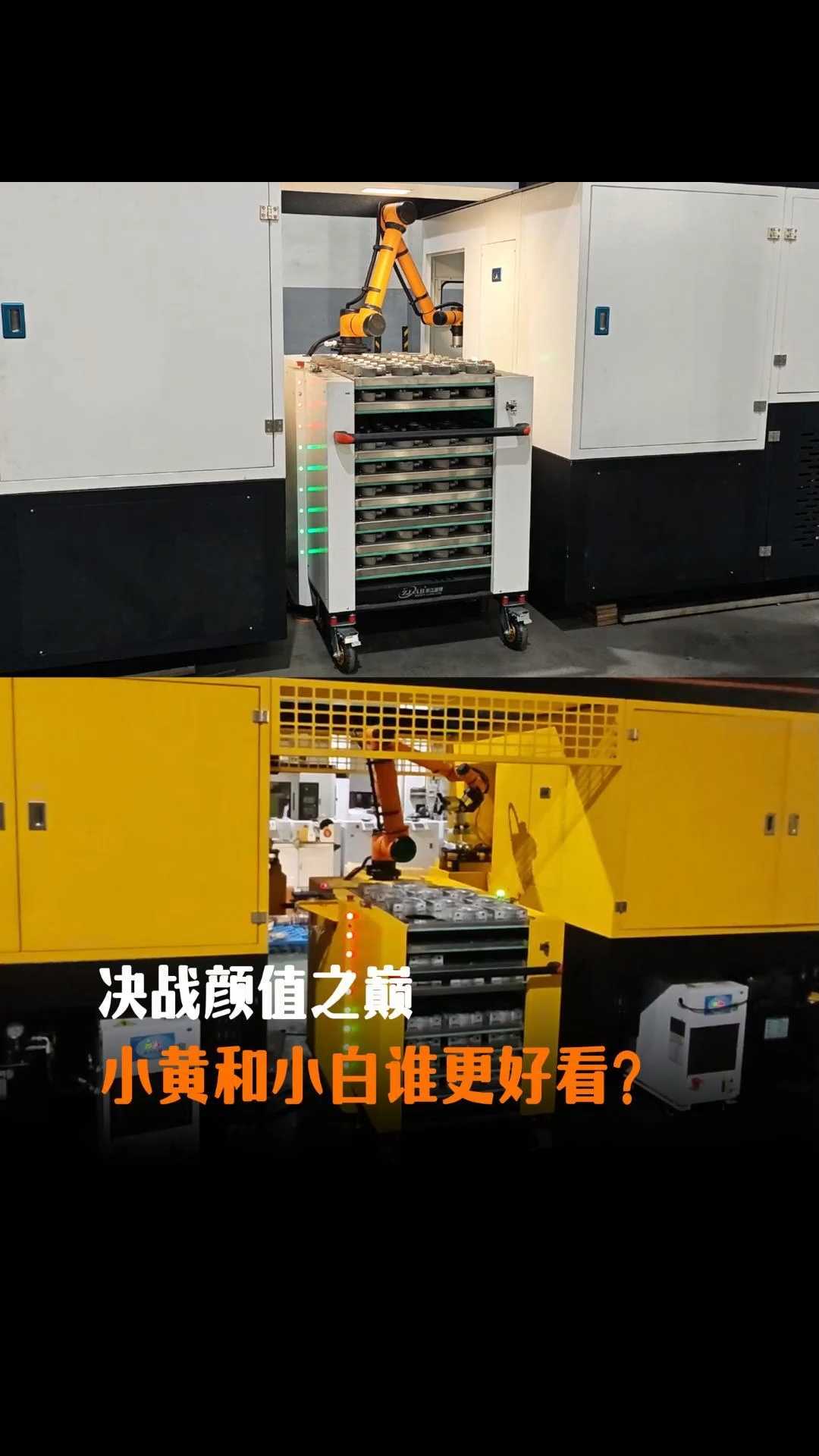 决战颜值之巅,小白和小黄谁更好看?