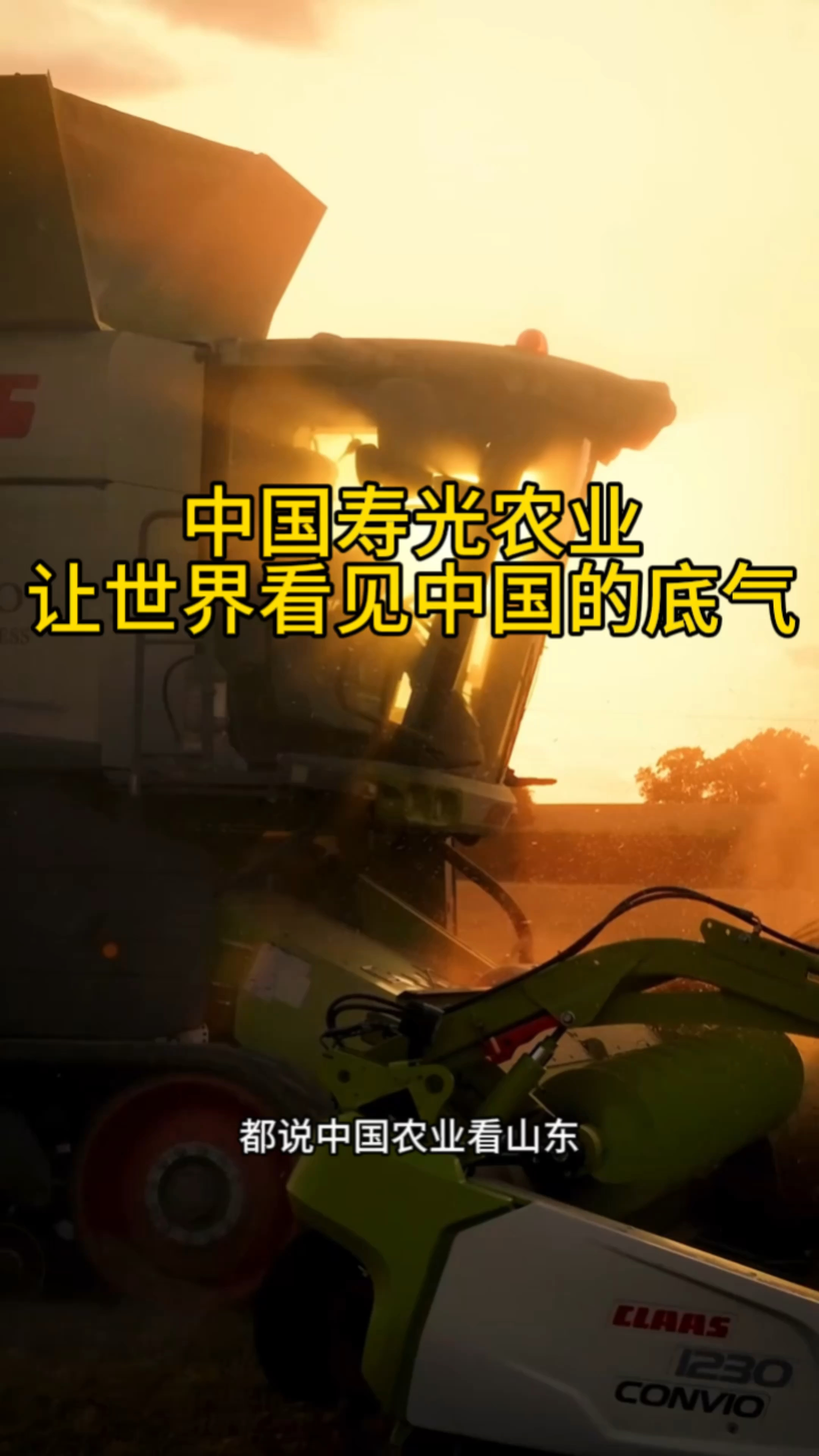 中国农业看山东 山东农业看寿光 带你走近寿光农业让世界农业看见中国农业的底气