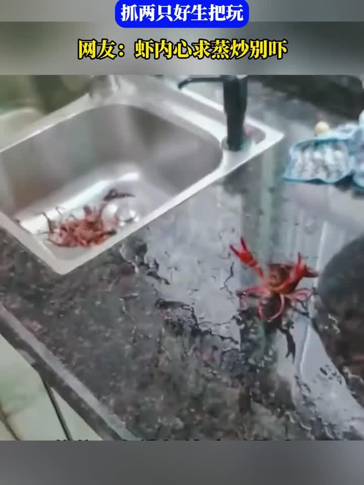 爸爸洗虾遭娃围观，抓两只好生把玩