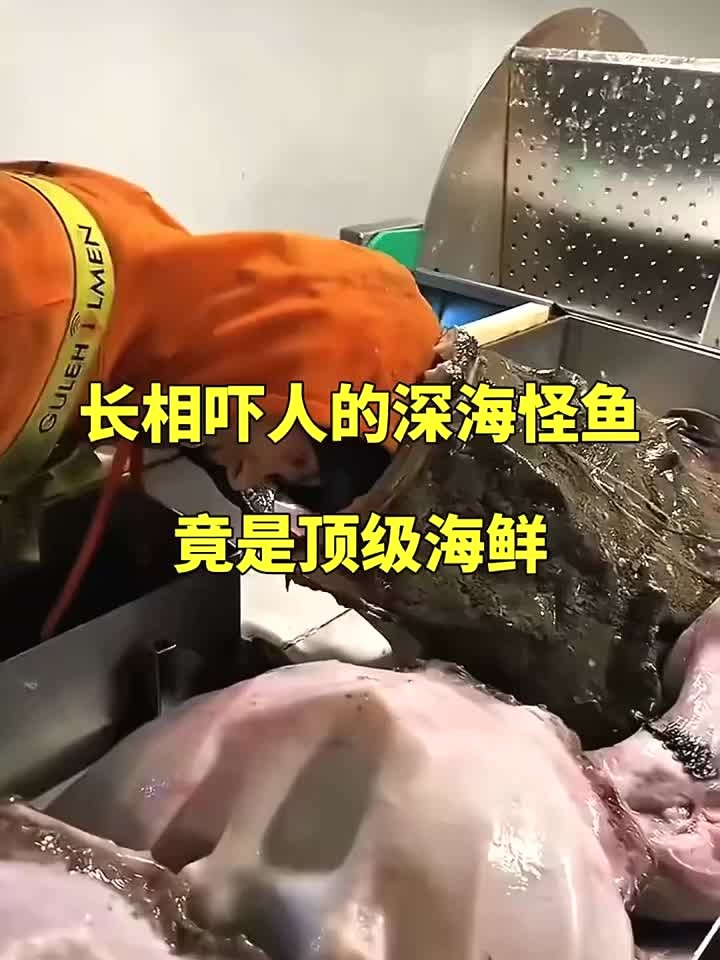 长相吓人的深海怪鱼，竟是顶级海鲜！