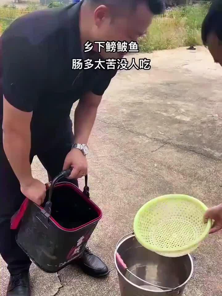 乡下鳑鲏鱼,肠多太苦没人吃