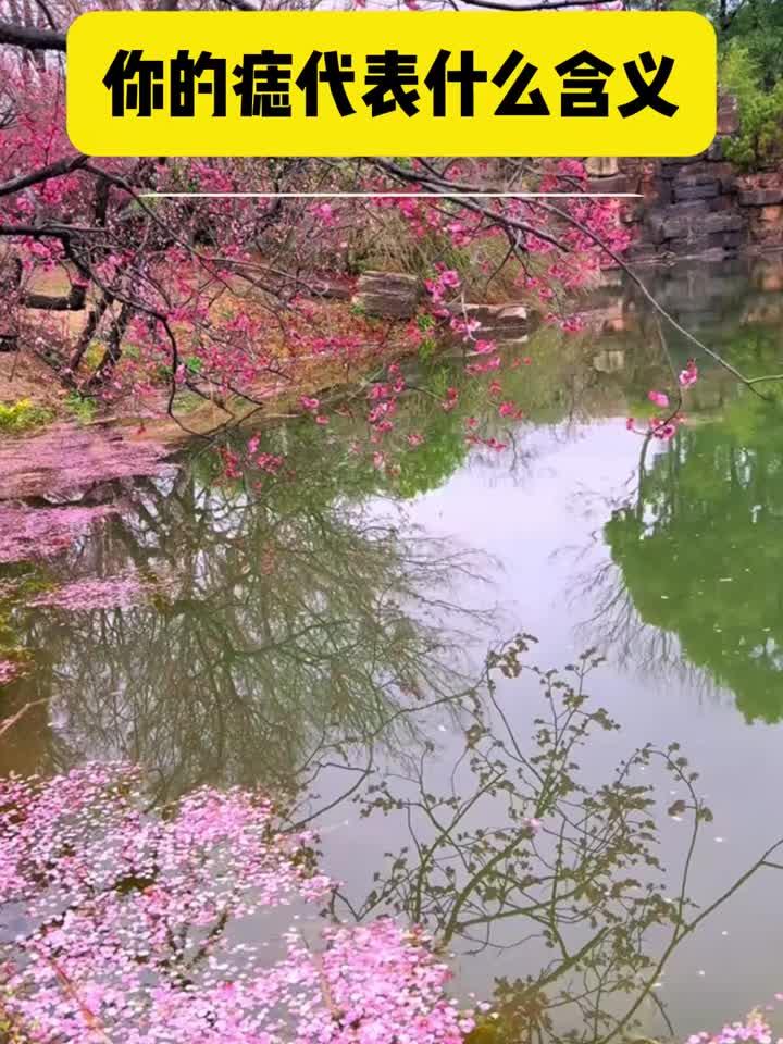 你的痣代表什么含义
