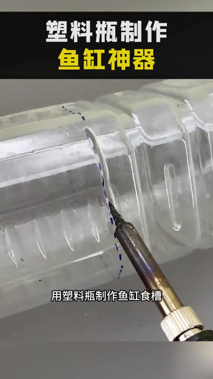 用塑料瓶制作成一个鱼缸喂食神器，鱼缸更容易打理