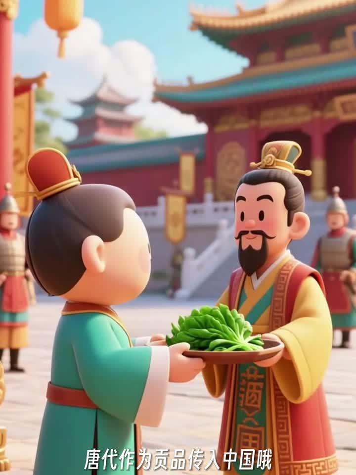 你知道菠菜都有哪些营养价值嘛