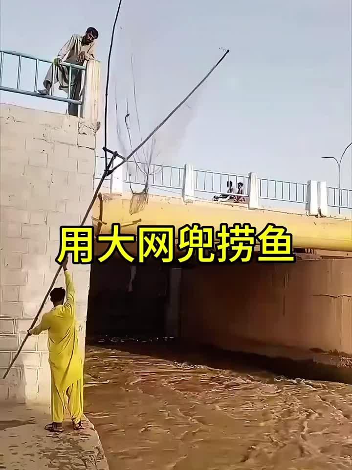 用大网兜捞鱼