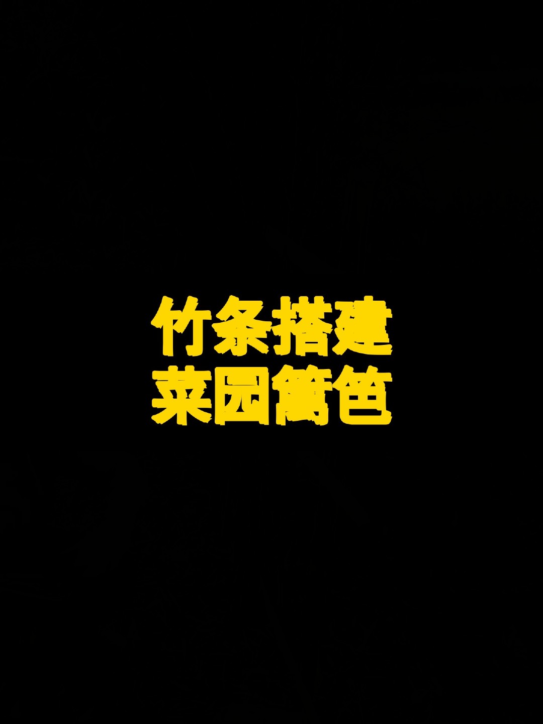竹条搭建菜园篱笆