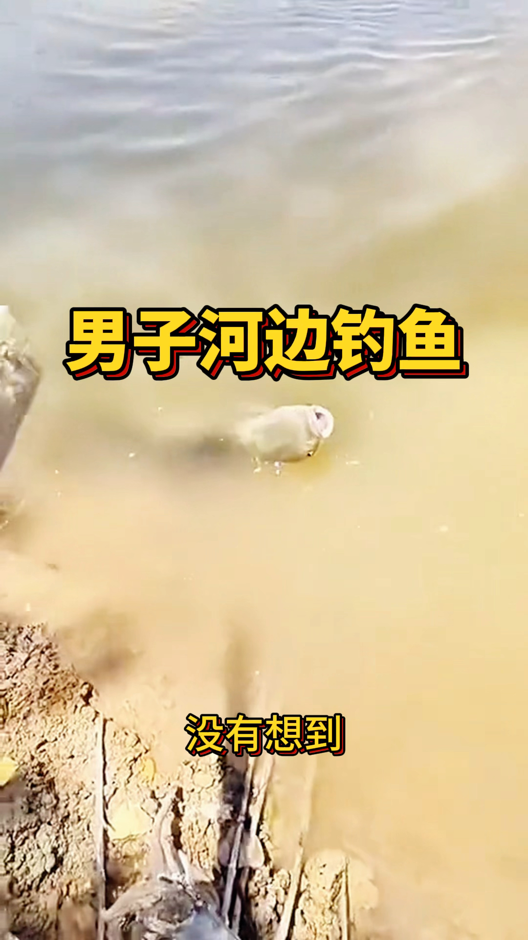 男子河边钓鱼,意外钓大鱼