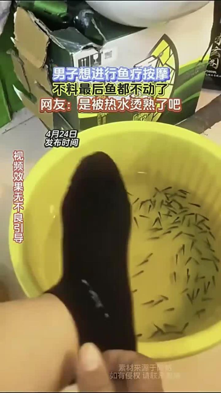 鱼疗池中鱼群静止罕见奇观