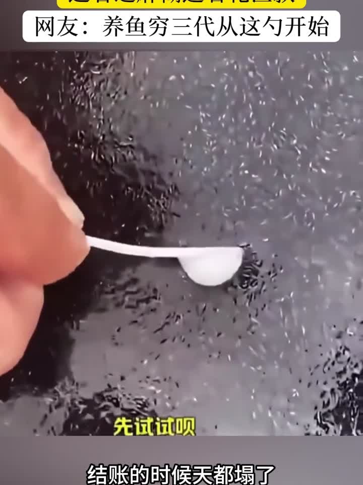 男子买了“一勺”鱼苗,结账的时候天都塌了!