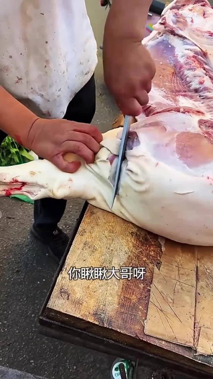 看好了吧!分割猪腿