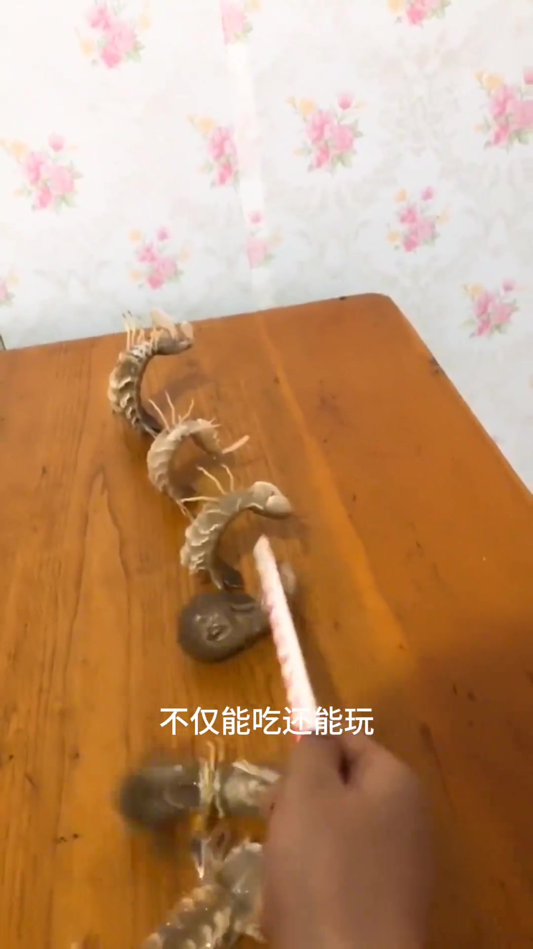 分享20种不同种类的虾，你都吃过几种
